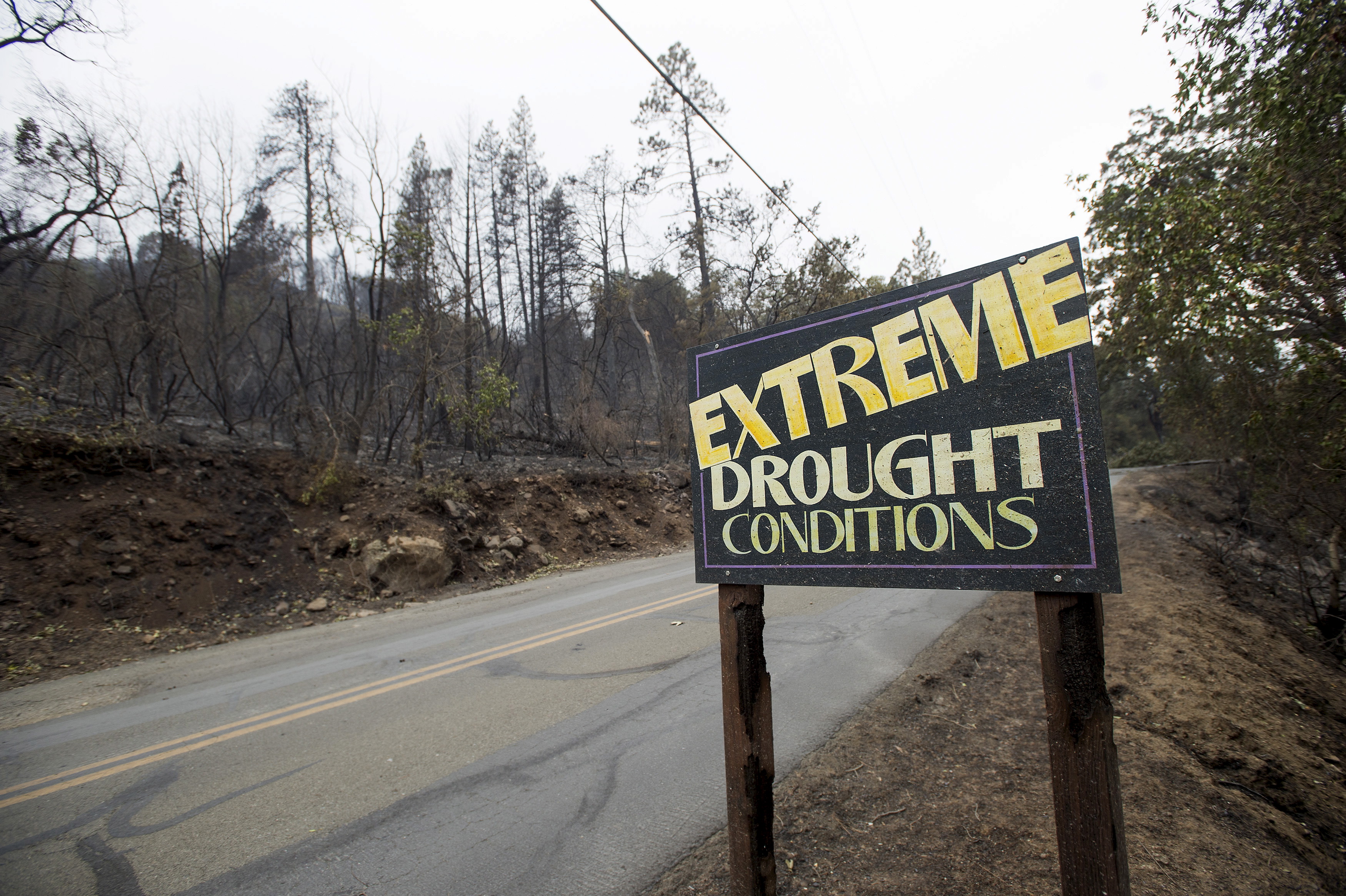 A sign remains among trees that were burned after the Valley Fire ripped through Middleton, California, September 14, 2015. (Photo: REUTERS/Noah Berger/Newscom)