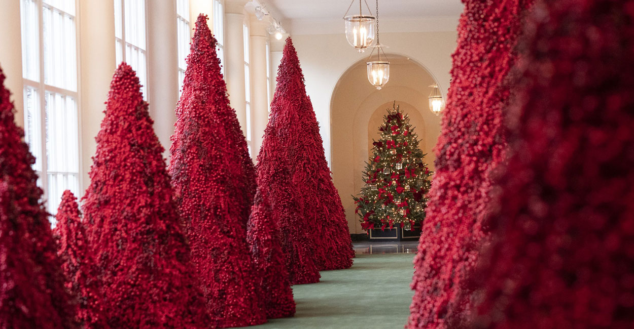 What I Saw During a First Look at the White House Christmas Decorations