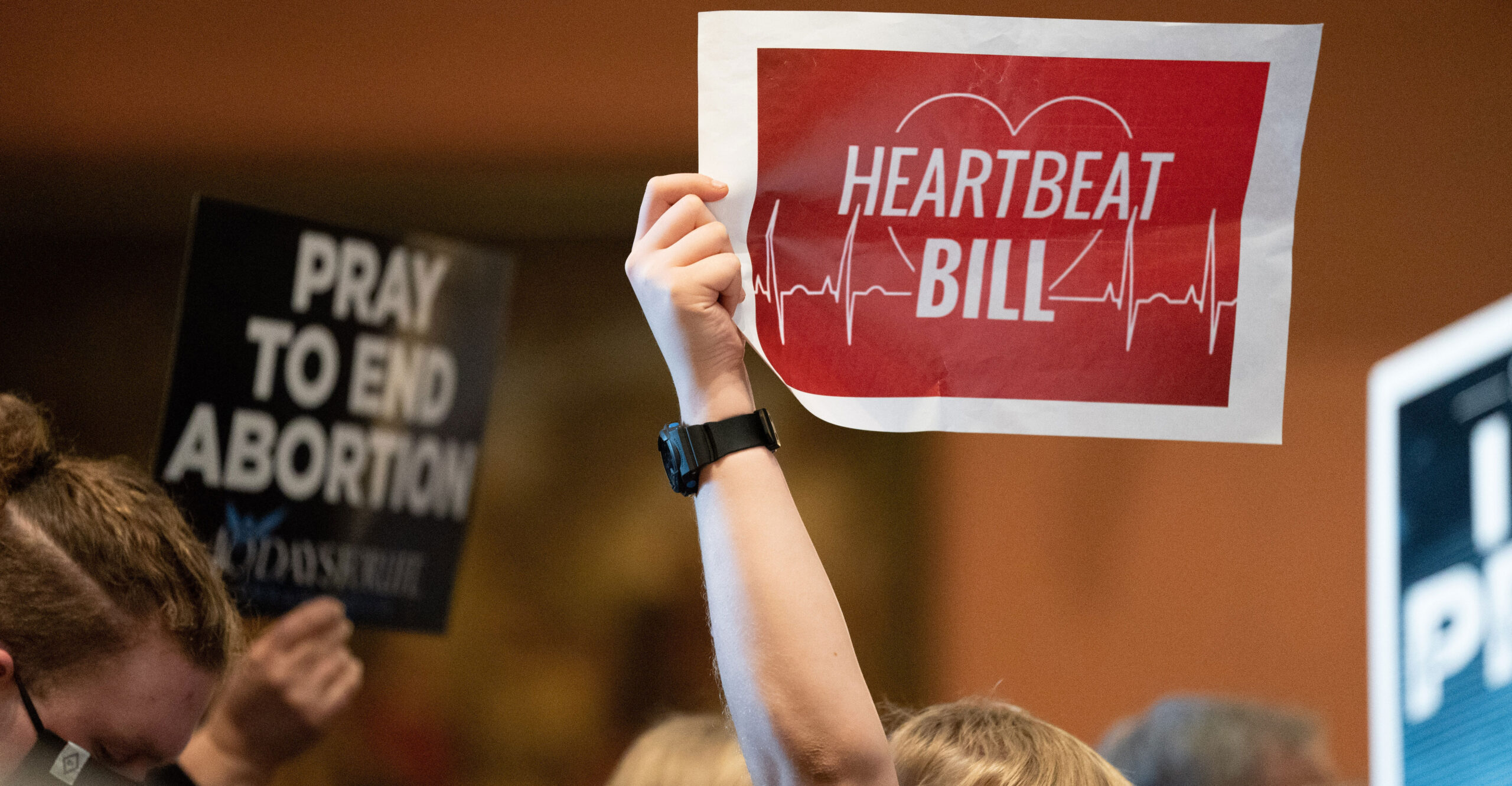 South Carolina Supreme Court Strikes Down ‘Heartbeat’ Abortion Law