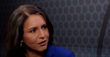 Tulsi Gabbard in a blue coat speaks in front of The Daily Signal logo