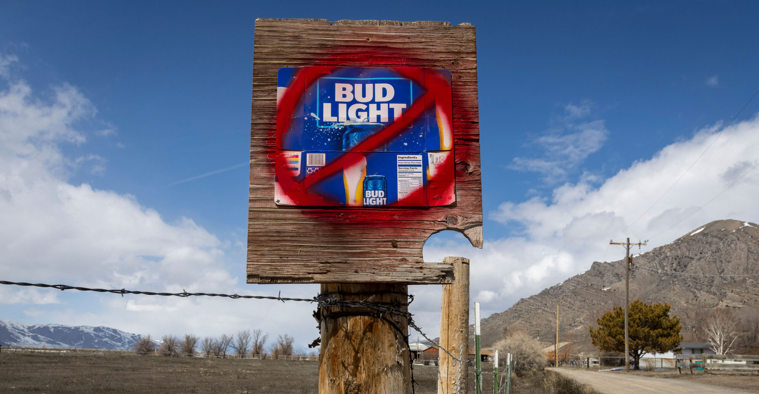 What Bud Light Scandal Could Teach Us About School Choice