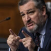Ted Cruz in a blue suit points while making an argument in the Senate.
