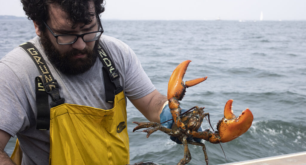 A bearded man holds a lobster on a fishing vessel