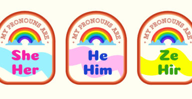 A “preferred pronouns” sticker set with she/her, he/him, ze/hir.