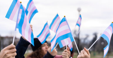 transgender flags waving in air