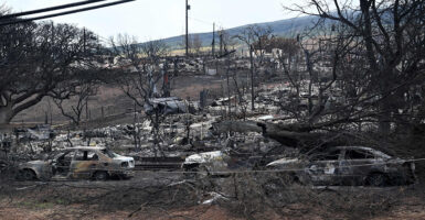 Burned cars and landscape are seen in Lahaina after the wildfires.