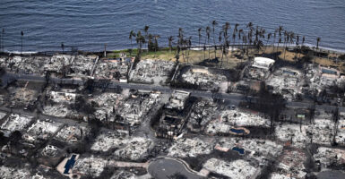 An aerial picture of the burned down coast of Maui. There are burned buildings, a few palm trees on the coast, and the ocean.