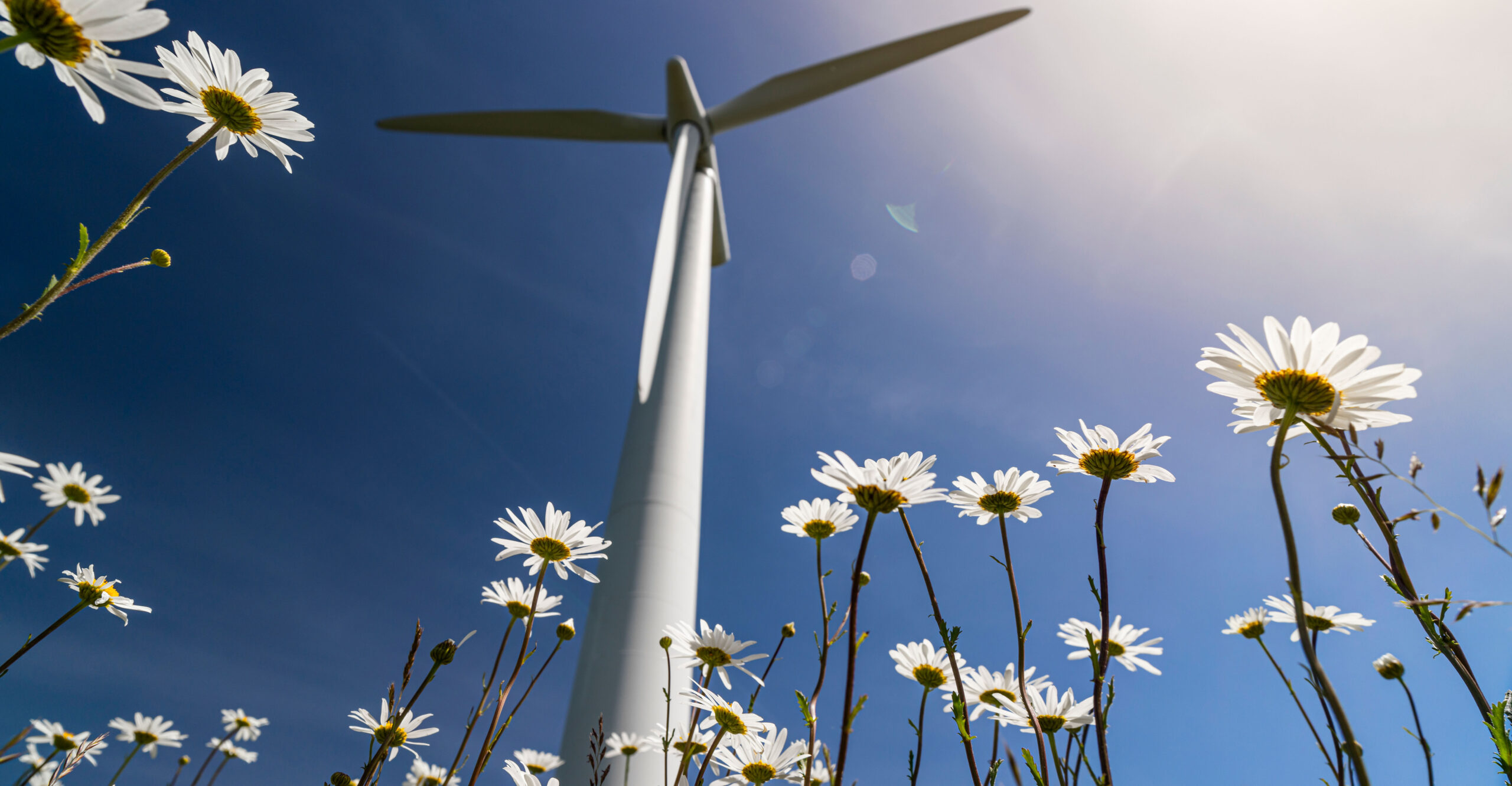 UK's Onshore Wind Scheme Could Backfire, With Far More Potent Greenhouse Gas Emissions 