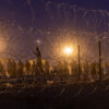 Migrants line up behind a border fence at night under bright lights