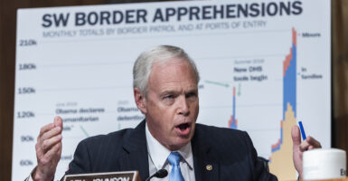 Sen. Ron Johnson questions a witness during a hearing