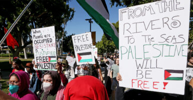 College students hold a campus rally and hold up signs in support of Palestinians