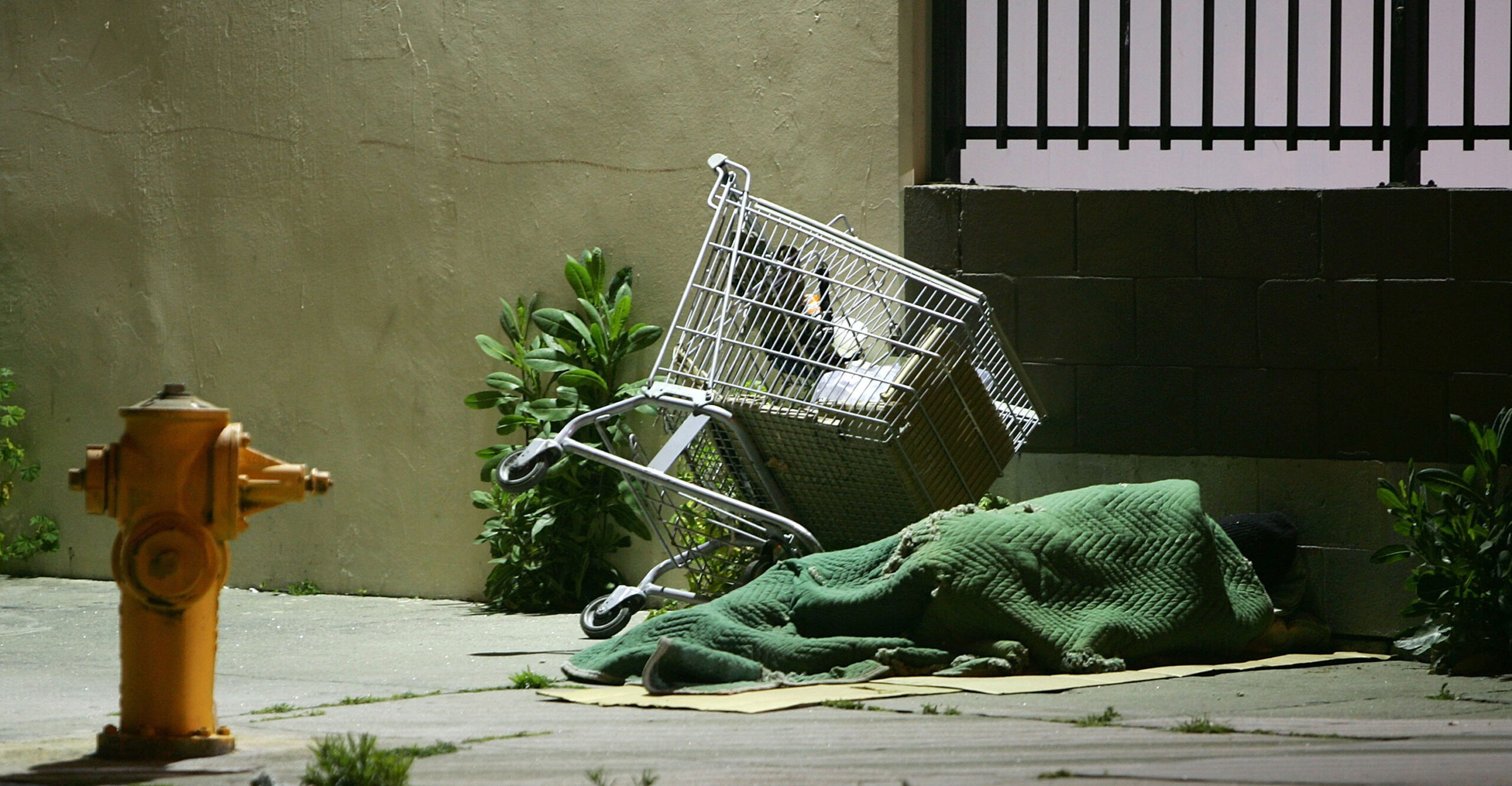 ICYMI: The 9th Circuit Is Wrong: There's No Homelessness Protection Clause in Constitution