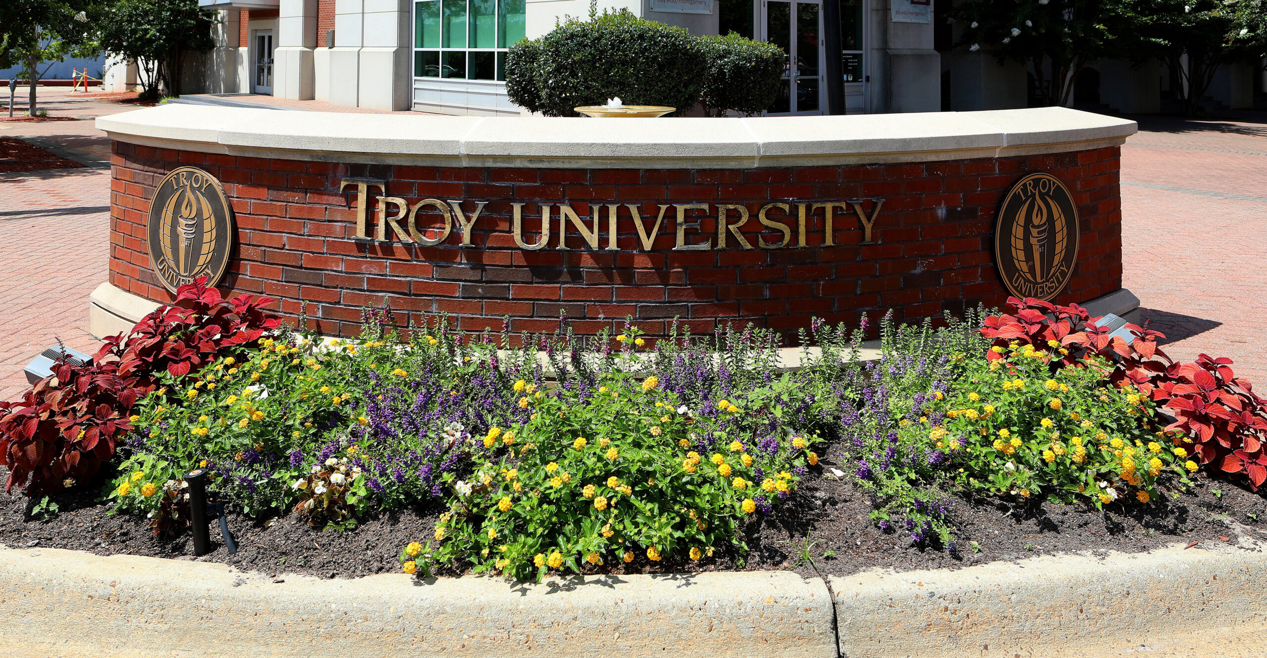 Troy University Proves You Don't Need DEI to Achieve Campus Diversity