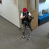 Audrey Hale in camouflage pants levels a gun at a printer in Nashville's Covenant School