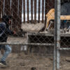 A man with a backpack and hoodie is seen running through an opening in the border wall.
