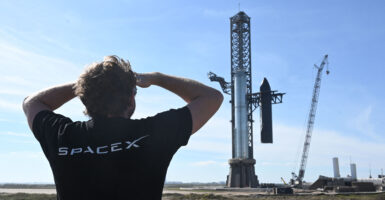 Man in black shirt that says "SpaceX" look towards the blue sky where a rocket stands.