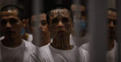 A group of tatooed-face young Hispanic gang members behind bars