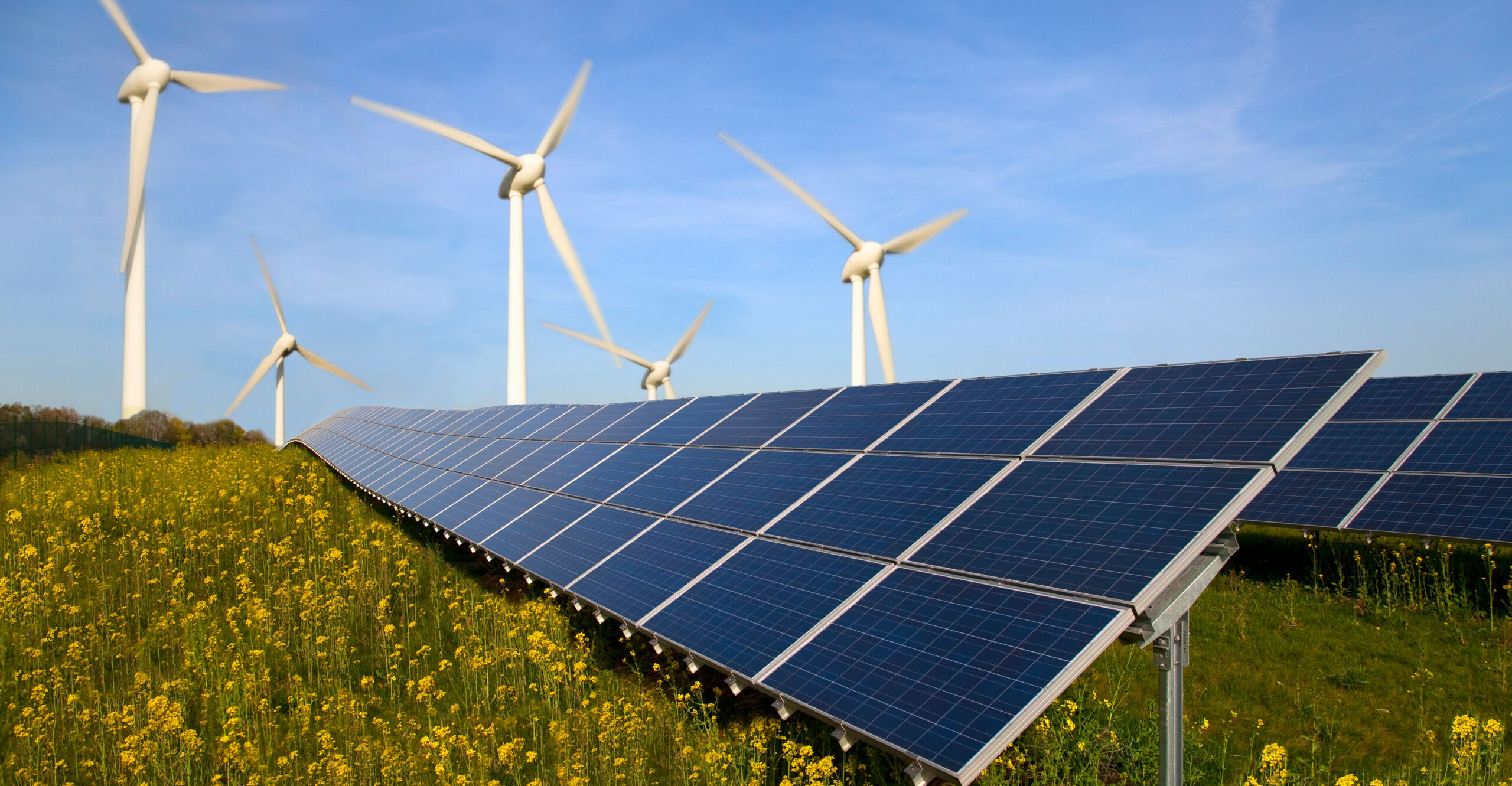 GREEN GRIFT: Renewable Energy's Inefficiencies, Subsidies for Rich 