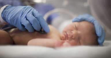 A newborn baby in a hospital