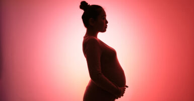 A new study found that maternal death rates in the United States have likely been strongly exaggerated due to misclassifications of maternal deaths. (Maki Nakamura, Getty Images)