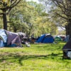 Multiple tents are see spread across a green space in D.C.