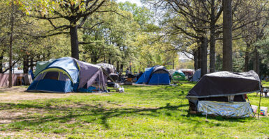Multiple tents are see spread across a green space in D.C.