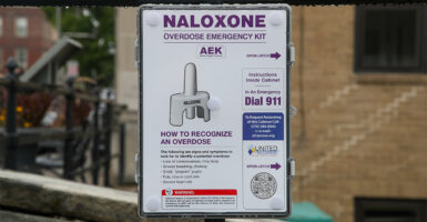 A public emergency box outdoors containing Naloxone/Narcan overdose emergency kits