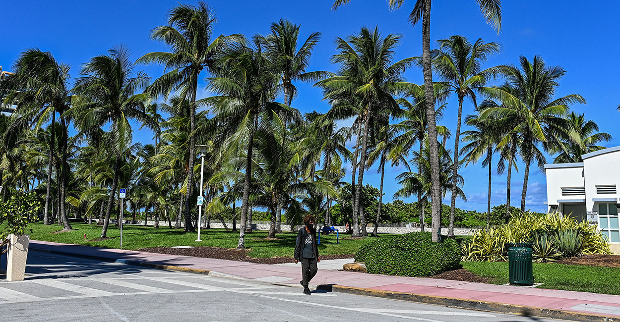 Miami Aims for 'Functional Zero' Homeless Population. Mayor Francis Suarez Explains How.