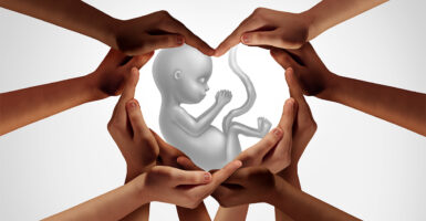 group of hands joined together forming a heart shape around a baby in the womb