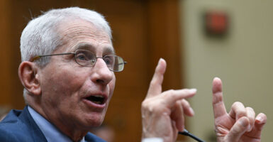 Anthony Fauci in a suit testifying to Congress gesturing with his hands